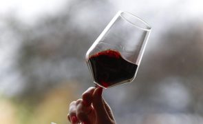 Comissão entrega a Estados-membros medidas de combate a excesso de produção de vinho