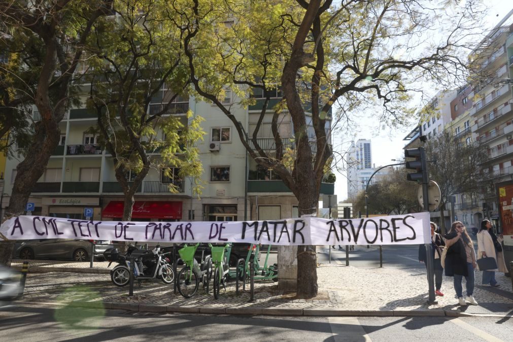 Uma dezena de jovens ativistas cantaram aos jacarandás ameaçados em Lisboa