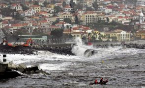 Proteção Civil da Madeira regista 32 ocorrências devido a vento forte