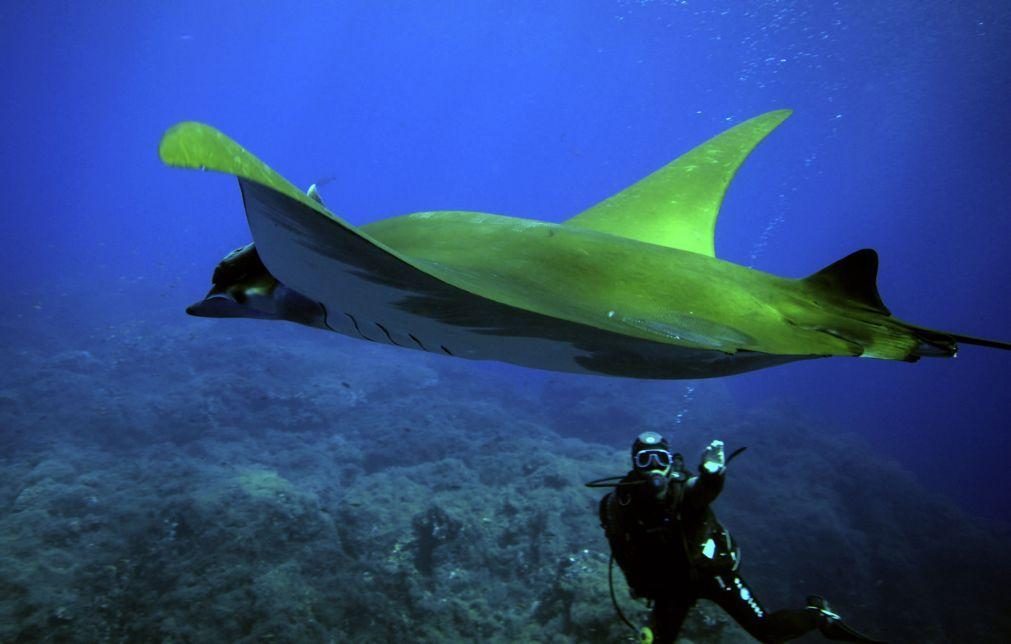 Organizações ligadas à exploração dos oceanos anunciam parceria com Cabo Verde