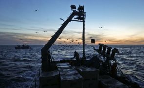 Eurodeputados aprovam acordo de pesca com Guiné-Bissau que inclui navios portugueses