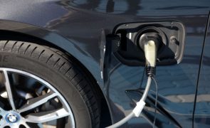 Matrículas de carros eletrificados sobem 29,7% até março apesar de queda da Tesla