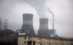 China e Índia continuam a apostar em centrais elétricas a carvão -- relatório