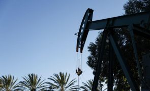 OPEP+ aumenta produção de petróleo em 411.000 barris a partir de maio