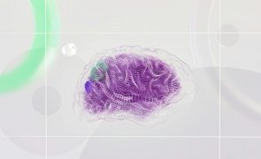Equipa luso-brasileira usa Inteligência Artificial para criar primeiro ‘clone virtual’ do mundo