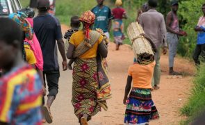 Ataques em Ancuabe, em Moçambique,  provocaram quase 1.500 deslocados