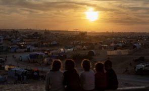 Mais de 600 mil crianças em Gaza arriscam deficiência crónica devido a bloqueio israelita