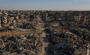Exército israelita acusado de destruir 90% das casas em Rafah na Faixa de Gaza