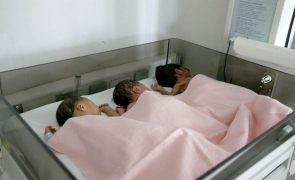 Mortalidade infantil em Angola caiu para 32 mortes por cada 1.000 nascidos