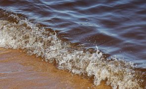 Praia da Torre, em Oeiras, interditada devido a derrame de crude