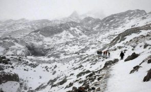 Dois montanhistas portugueses morreram nos Picos da Europa
