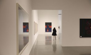 Museu de Arte, Arquitetura e Tecnologia atingiu recorde de visitantes em 2024