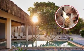Cristina Ferreira  A luxuosa villa (de 5 mil euros a noite) em que esteve com o filho e João Monteiro