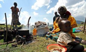 Mais de 41.000 deslocados da RDCongo procuraram asilo no Uganda desde janeiro