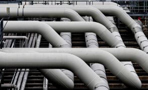 Moçambique aprova investimento de 6.600 ME para 3,5 milhões de toneladas de gás/ano