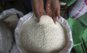 Arroz importado por Moçambique bate recorde de 400 ME em 2024