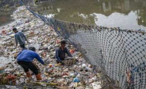 Menos de 10% do plástico produzido no mundo é reciclado