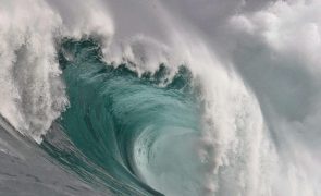 Brasil torna-se pioneiro ao inserir a educação sobre os oceanos nas escolas