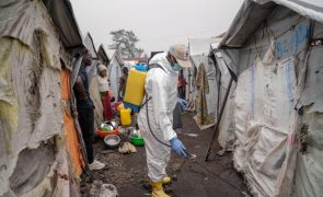 Mpox: África tem em média 3.000 novos casos por semana e epidemia continua a propagar-se
