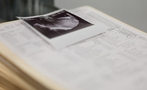 Clínica de fertilidade admite transferência de embrião errado na Austrália