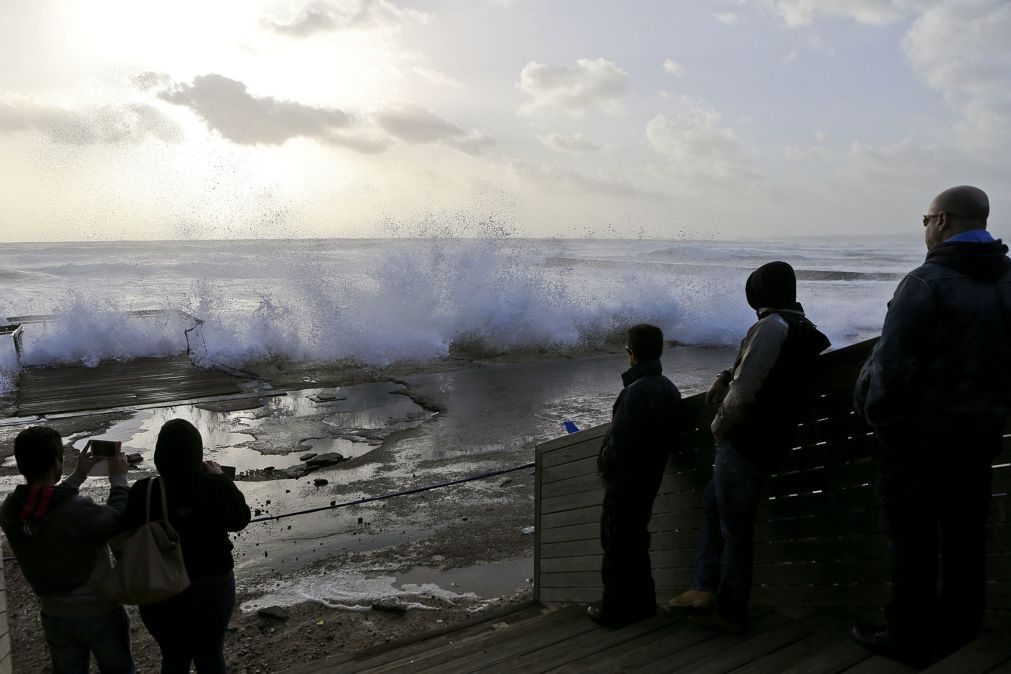 Proteção Civil registou 264 ocorrências devido à chuva em Lisboa e em Beja