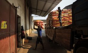Governo prevê 300 mil ME para fazer Moçambique crescer a quase 10% ao ano até 2044