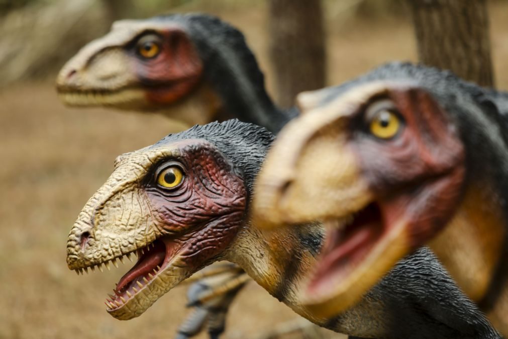A partir de dia 9 de fevereiro já pode visitar o Parque dos Dinossauros da Lourinhã