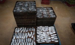PR guineense inaugura fabrica de produção de óleo e farinha do peixe