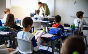 Livre propõe apoio à habitação para professores e painéis solares nas escolas