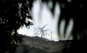 Moçambique precisa de 70 mil ME para transição energética até 2050