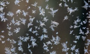 Guarda e Castelo Branco sob aviso laranja a partir das 18:00 devido à queda de neve