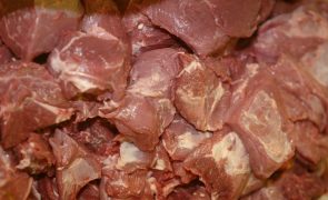 GNR apreende mais de 180 quilos de carne proveniente de abate ilegal em Torres Vedras
