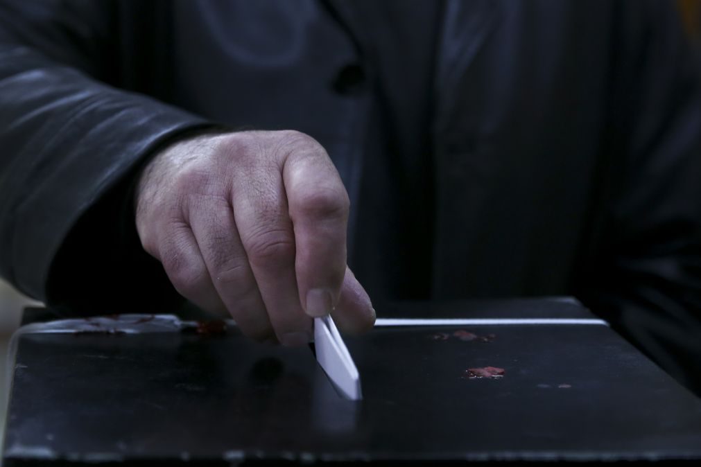 Estudo indica que 20,4% dos votos nas últimas eleições não elegeram deputados