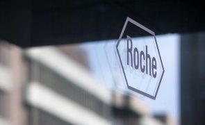 Roche vai investir cerca de 43.000 ME em cinco anos nos EUA