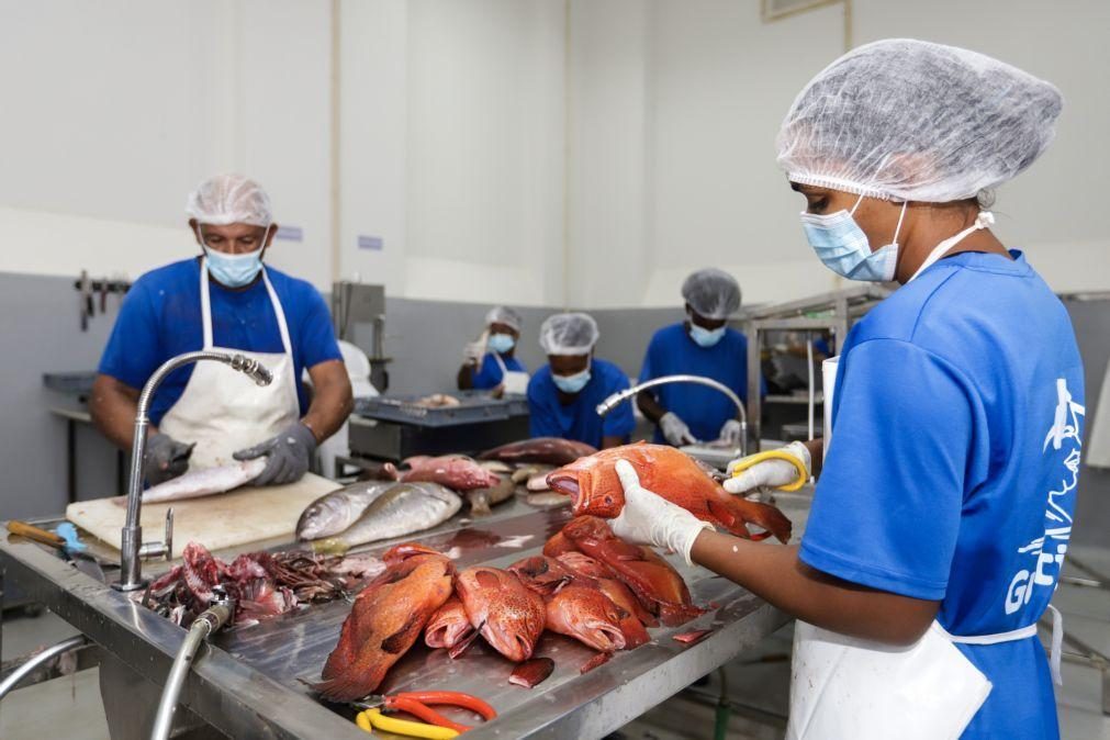 Cabo Verde continua a exportar a preços mais favoráveis do que em 2024