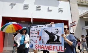 Revolta contra Musk baixa vendas, lucros e capitalização bolsista da Tesla com queda de 71% dos lucros