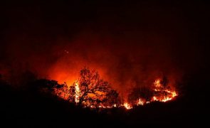 Colapso ambiental levou à Revolução Neolítica