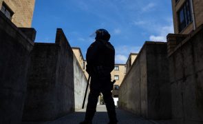 PSP detém nove pessoas e apreende 5.281 doses de droga no Porto