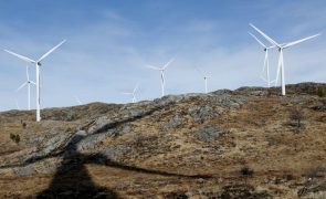 Moçambique e Brasil podem liderar transição energética entre os lusófonos