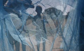 World Vision prevê distribuição de cerca de 4,5 milhões de mosquiteiros em Angola