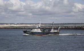 Pesca de arrasto reduz a absorção de CO2 pelos oceanos
