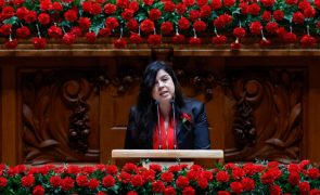PAN sublinha necessidade de renovar esperança na democracia