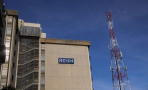 2,5 milhões de consumidores com eletricidade até às 22:00 - REN