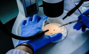 Alterações climáticas podem estimular o aumento das superbactérias