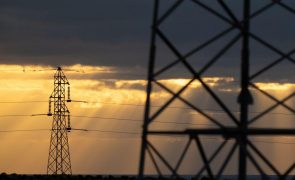 Rede europeia que gere redes elétricas cria comité para investigar apagão