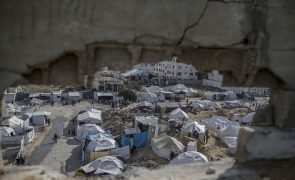 Faixa de Gaza 