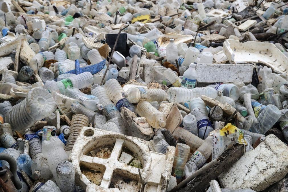 Bebidas consumidas na Ásia dão origem a lixo plástico nas praias de Cabo Verde