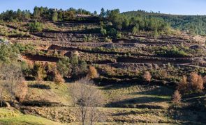 Portugal esgota na segunda-feira recursos naturais disponíveis para 2025