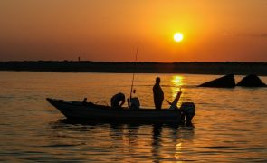 Paque Natural da Ria Formosa celebra 47 anos com dia aberto e atividades