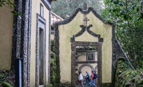 Mata do Bussaco com 500 mil visitantes e saldo positivo de 75 mil euros em 2024